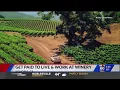Get paid to live and work at winery
