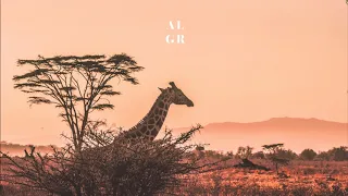 mysticnature za musiquetemple iyathi mujo deeps ascension mix apantou premiere 