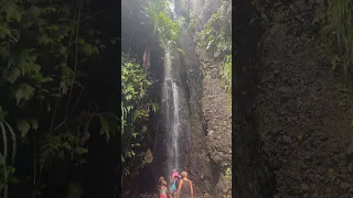 We Had No Idea What Was Waiting for Us… 🌿😳