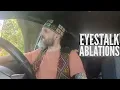 TO THE GRAVE - EYESTALK ABLATIONS (Berserker React)