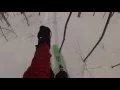New England wood skiing at Bretton Woods NH 2015
