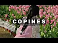 Copines song (slowed and relaxing) enjoy while studying