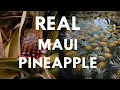 How a Maui Pineapple Farm Looks In Real Life Food Worth Traveling For