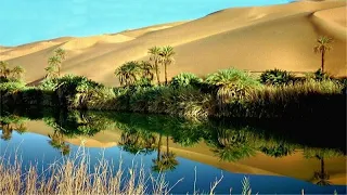 مريم السعفى الولادة الواحة 1 