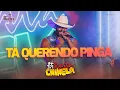 Rasta Chinela - Audiovisual - Tá Querendo Pinga