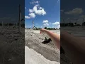 The festival flea market closed down in pompano beach FL