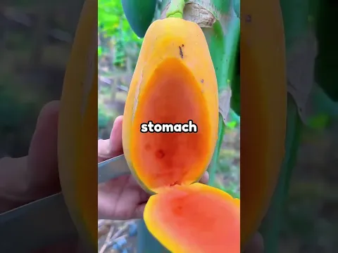 DO NOT TOUCH SOUND 😭