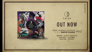 tigerskin endless summer original mix 
