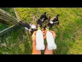 POV: You're Raising Baby Goats