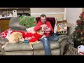 December 2023 Barkbox