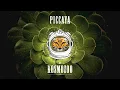 Download Lagu Session 14 - Rain Forest [Piccaya] (4K UHD)