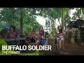 Buffalo Soldier | The Farmer (Cover)