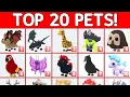 TOP 20 RAREST PETS VALUES IN ADOPT ME 2026