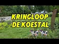 Download Lagu KOEKOEK! 🐄 Deze kringloop zit gewoon in een STAL?! 😱
