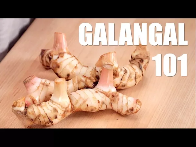 Ultimate Guide to GALANGAL - Hot Thai Kitchen!