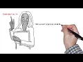 County of San Mateo - Child Support Tutorial