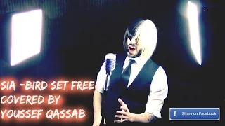 sia bird set free covered by youssef qassab 