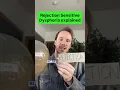 RSD Explained