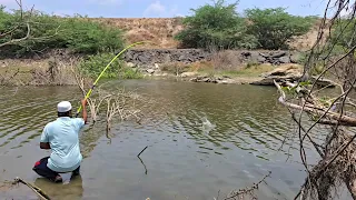 🎣 THIS ROHU TESTED MY SMALL HOOK SETUP! VILLAGE STREAM ROHU STRIKE ON A TINY SINGLE HOOK 🌾🌿