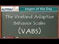 Autism Jargon The Vineland Adaptive Behavior Scale