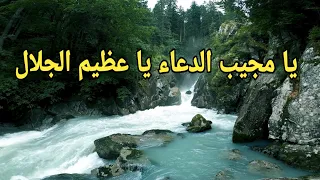 يا مجيب الدعاء يا عظيم الجلال  يا مجيب الدعاء يا عظيم الجلال