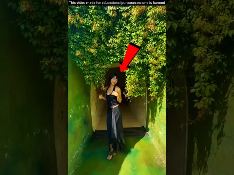 #bts