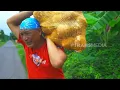 Download Lagu Sensasi Nikmat Fishcake Jamur Kembang Kelapa | JEJAK SI GUNDUL (24/06/25)