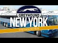 Taking the GREYHOUND BUS in New York City