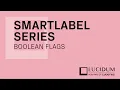 SmartLabels Series - Boolean Flags