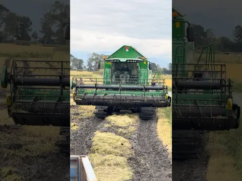 THE COMBINE HARVESTER IS COMING TO QUICKLY EMPTY ITS TANK