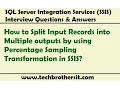 Split Input Records into Multiple outputs by using Percentage Sampling Transformation in SSIS