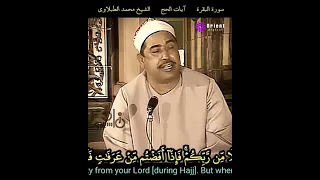 تلاوة نادرة للشيخ محمد محمود الطبلاوي رحمه الله 