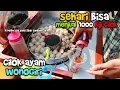 Download Lagu SEHARI OMSET BISA JUTAAN !! Cilok Wonogiri dagang keliling pake Gerobak !!