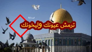 ولد السواتر ترمش عيونك وليخونك جديد المنشد قاسم حمادي 