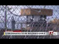 3 500 NC inmates to be released early