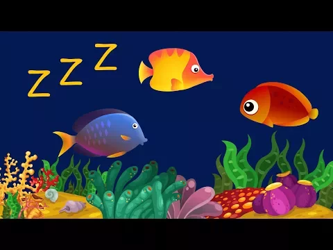 Download MP3 Música Para Bebê Dormir com Relaxante Som de Água ♫ ❤ Animação com Peixes