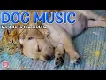 Download Lagu Dog favorite music, 20 Hours of Dog Sleep Music｜Separation anxiety relief for puppies who are alone