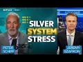CME Halts and Silver Volatility Peter Schiff on the Shift to Physical Demand