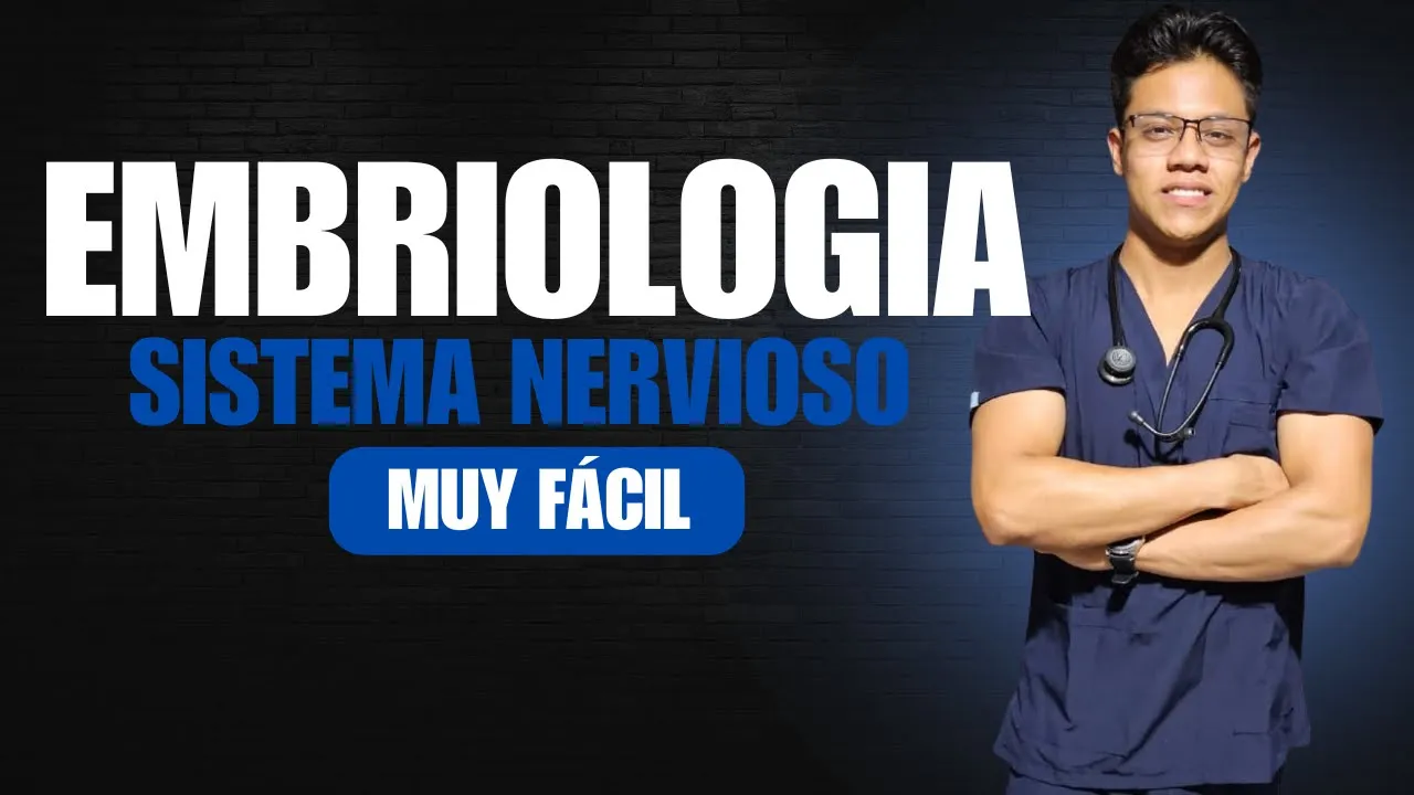 Embriología del sistema nervioso | Muy fácil