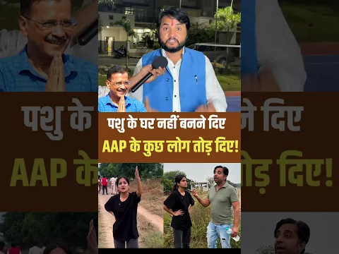 पशु के घर नहीं बनने दिए aap के कुछ लोग तोड़ दिए!। #animals #delhi #home #viralshorts