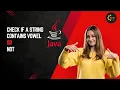 How to Check if a String Contains Vowels Simple Java Program Tutorial