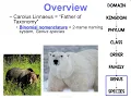 Notes Evolution Concept 4 - Phylogeny