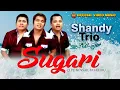 Lagu Batak Terbaru - Sugari // Shandy Trio (Official Video Music)