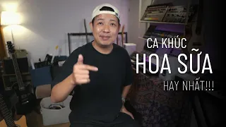 NHỮNG BÀI HÁT VỀ HOA SỮA HAY NHẤT!