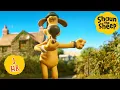 Download Lagu Bitzer Can’t Sit Still! 🐶 | 1 HOUR Shaun the Sheep Compilation | Shaun the Sheep \u0026 Friends