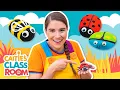 Amazing Bugs Caitie s Classroom Education for kids