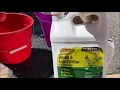 THE BEST WEED KILLER - COMPARE