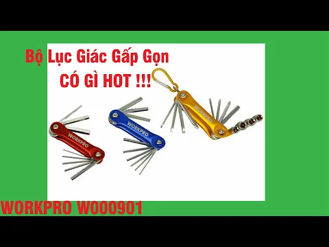 Video giới thiệu WORKMAN JSC