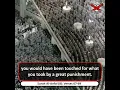 Download Lagu Beautiful Recitation from Surah Anfal | Sheikh Saud Shuraim