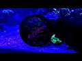 Flipper DeepSee Magnetic Aquarium ORANGE FILTER Viewer 5" - Video 3 of 1